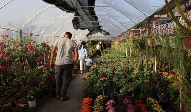 Çiçekçilerde Öğretmenler Günü yoğunluğu! Saksı çiçeklerine talep arttı
