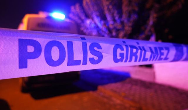 Kardeşler arasındaki kavga kanlı bitti! Ağabeyini öldürdü…