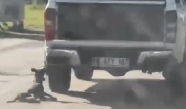 Araçla metrelerce sürüklenen köpek telef oldu! Valilik duyurdu! 2 gözaltı…