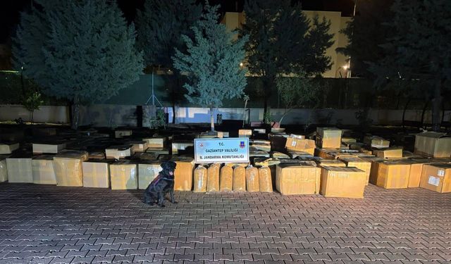 Gaziantep’te jandarma kaçakçılara göz açtırmıyor