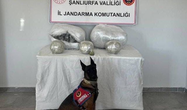 Zehir tacirlerine geçit verilmiyor! Gaziantep’in komşu ilinde 25 kilogram uyuşturucu ele geçirildi