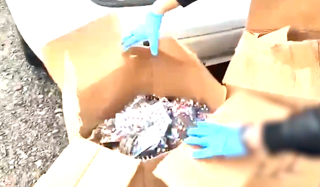 Bakan Yerlikaya açıkladı! Gaziantep’te zehir tacirlerine dev darbe