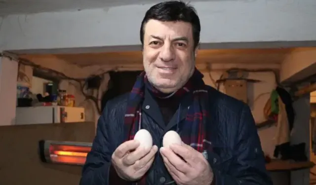 Tavuklar Yumurtladı Ama Hırsızlar Yedi! Coşkun Sabah Yumurtacılığı Bıraktı