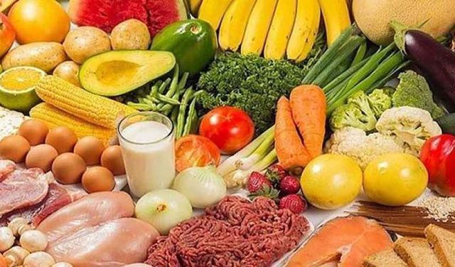 GIDA ÜRÜNLERİ SATIN ALINACAKTIR