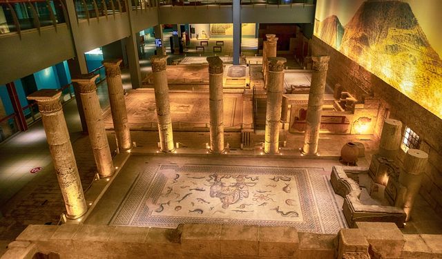 Zeugma Mozaik Müzesi Giriş Ücreti Ne Kadar? 2025 Güncel Bilgiler