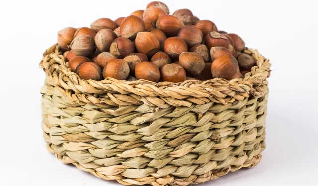 24 Ocak Cumartesi Fındık Fiyatları Ne Kadar? Fındık Fiyatları 290 TL’ye Dayandı: Giresun, Levant, Sivri Fındık Fiyatları