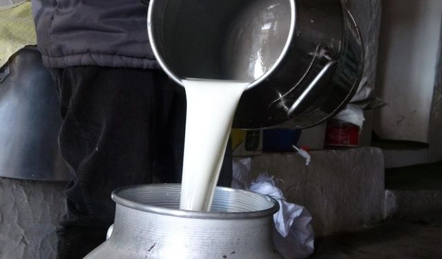 USK duyurdu! Çiğ süt fiyatları belli oldu