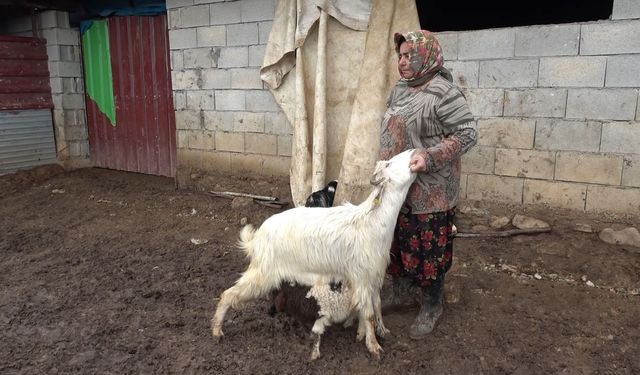 Gaziantep’te yürekleri ısıtan olay!