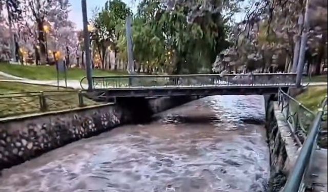 Alleben Deresi’nde adeta çağladı! İşte o anlar…