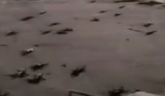 Gökten dron yağdı: 600 dron düştü!