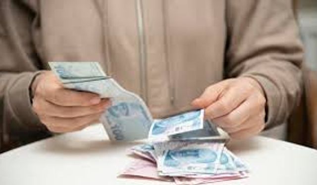 Kimler Faydalanabilecek? Vatandaşlık Maaşı Ne Zaman Başlayacak, Emekliler Yararlanabilecek Mi, Pilot İller Hangileri?