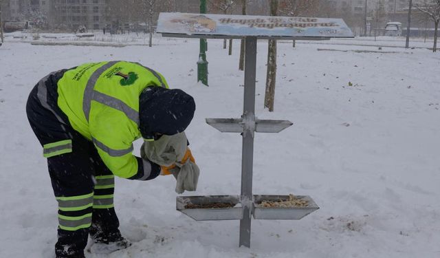 Gaziantep'te sokak hayvanları unutulmadı!