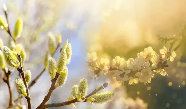 2026'da ilk cemre ne zaman düşecek? Hangi tarihte havaya cemre düşüyor?