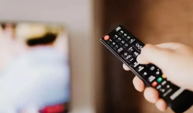 24 ŞUBAT 2026 SALI YAYIN AKIŞI: Bu akşam TV’de ne var, hangi diziler var?