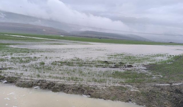 Gaziantep'te tarım arazileri su altında kaldı! “Acil çözüm bekliyoruz"