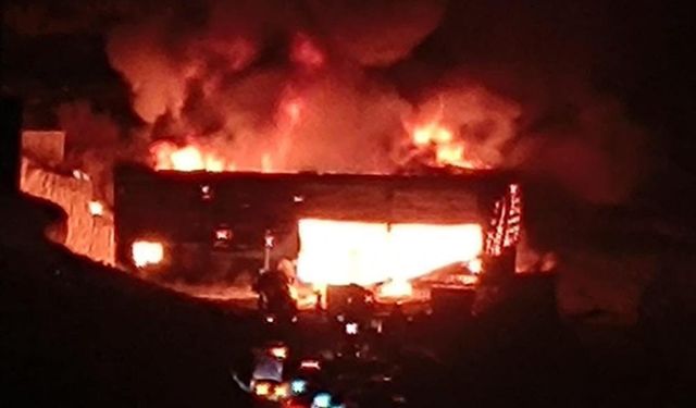 Zeytin ve fıstık işleme fabrikasında yangın!