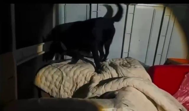 Emniyetten zehir tacirlerine darbe! Battaniyenin altına gizlemişler...