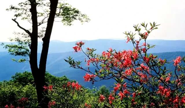 Cemre düşmesi nedir? 2026 cemre tarihleri belli oldu mu? Havaya, suya ve toprağa cemre ne zaman düşer?