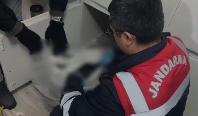 Gaziantep’te jandarmadan fuhuş operasyonu!