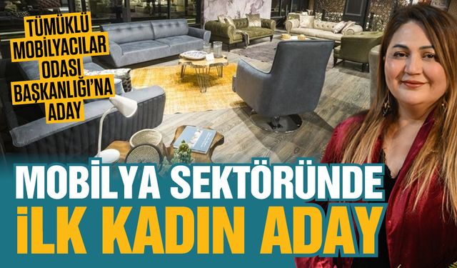 Oğuzeli Mobilya Kent Projesi’nde dev adım! Arsa satışı için onay çıktı…