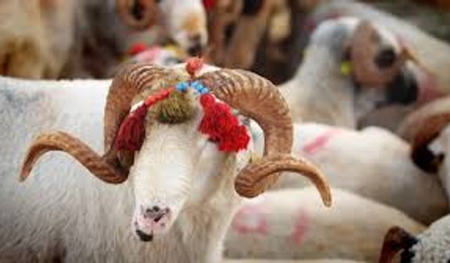 2026 Kurban Bayramı Ne Zaman, Hangi Gün Başlıyor, 2026 Kurban Bayramı Tarihleri Neler?