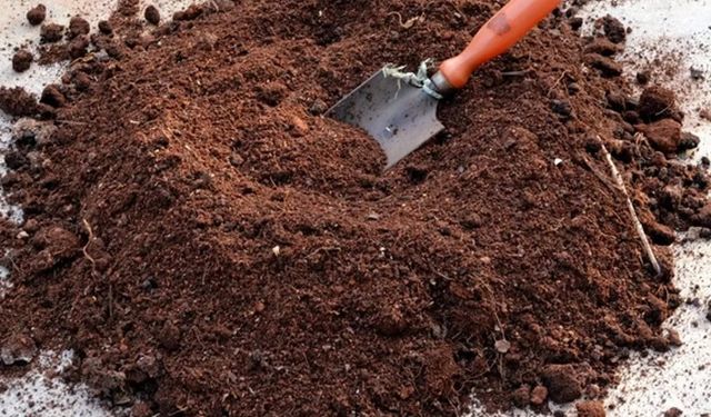 YANMIŞ ÇİFTLİK GÜBRESİ VE TORF SATIN ALINACAKTIR