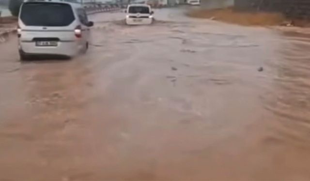 Sağanak her şeyi değiştirdi: Gaziantep kırsalında büyük mağduriyet