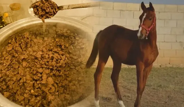 Mersin aşevi kavurma skandalı nedir, at eti mi çıktı, Smart Latch kimdir?