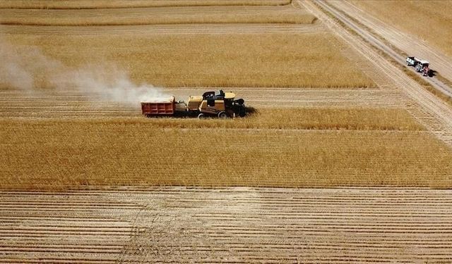 Çiftçilere müjde! Bakan Yumaklı açıkladı! Ödemeler bugün yapılacak