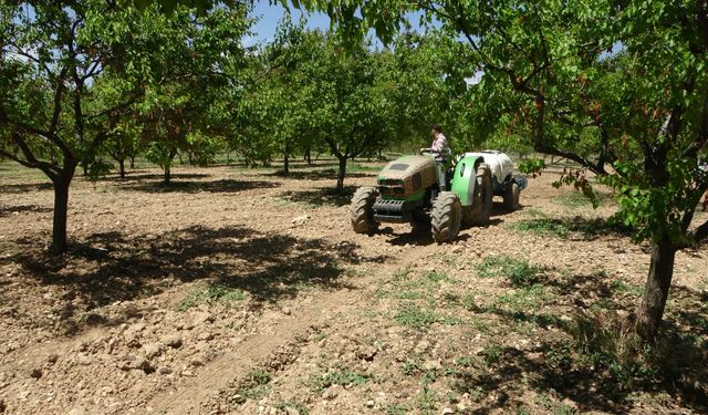 Üreticilere manolya hastalığı uyarısı