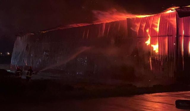 Karton fabrikasına yıldırım isabet etti: Fabrika'da yangın meydana geldi