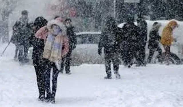 Bitlis'te yarın okul var mı yok mu, 24 Mart 2026 Bitlis'te okullar tatil mi, Valilik açıklama yaptı mı?