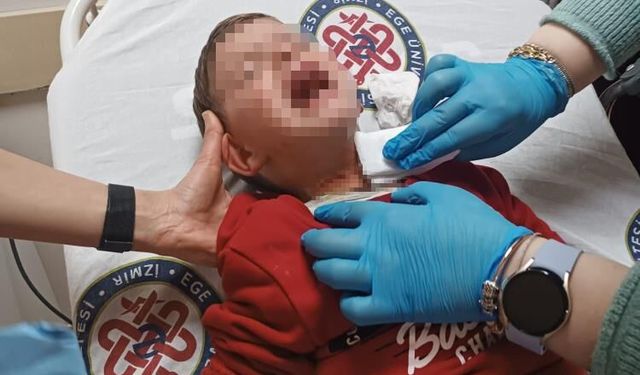 Parkta bıçaklı dehşet! 2 yaşındaki çocuk boğazından yaralandı…