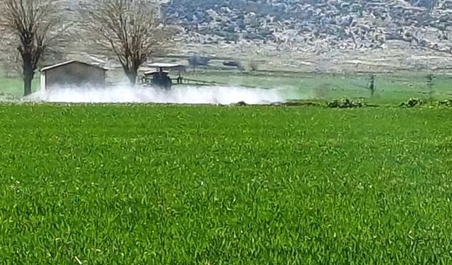 Gaziantep’te sarı pas hastalığını önlemek amaçlı ilaçlı mücadele başlatıldı!