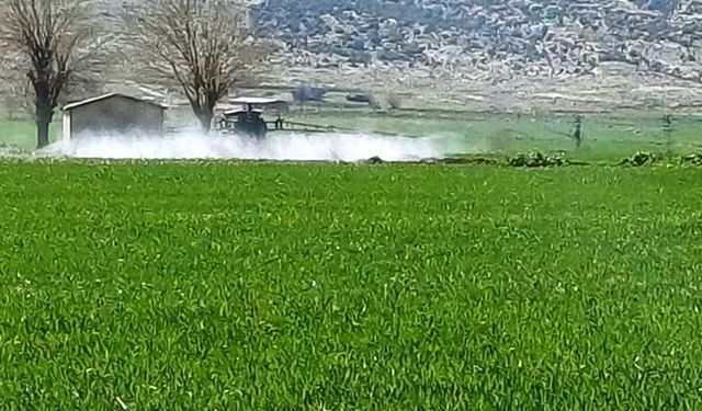 Gaziantep’te sarı pas hastalığını önlemek amaçlı ilaçlı mücadele başlatıldı