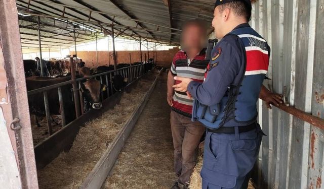 Gaziantep’te yakalandılar! 22 Büyükbaşlık sahte para oyunu bozuldu