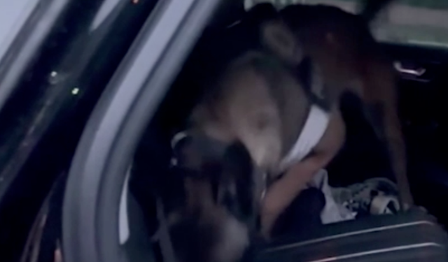 TAG otoyolunda 3 farklı araçta 5 kilo 90 gram uyuşturucu ele geçirildi