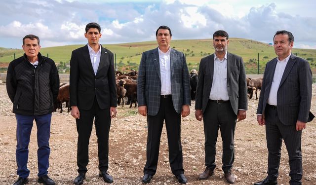 Gazianteplilere güzel haber! Umut Yılmaz kurban fiyatlarını açıkladı!