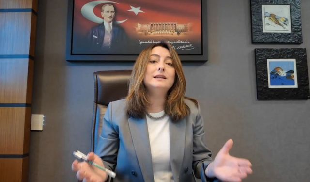 Aysu Bankoğlu Kimdir? Evli mi, Babası Kim, Aslen Nereli?