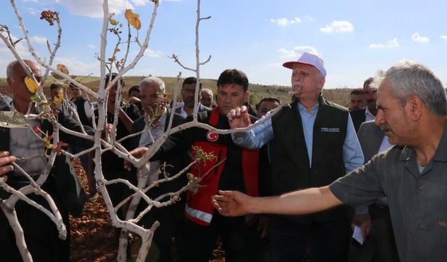 “Süper hücre” felaketi çiftçiyi vurdu: TZOB Başkanı Bayraktar afet bölgesinde!