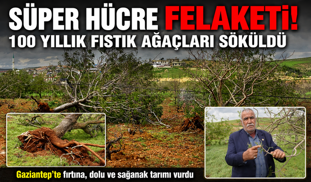 Gaziantep'te 'süper hücre' fırtınası fıstık ağaçlarını söktü