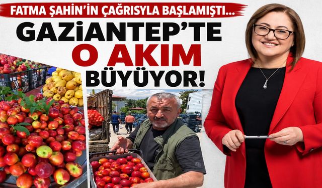 Fatma Şahin’in çağrısıyla başlamıştı… Gaziantep’te o akım büyüyor!