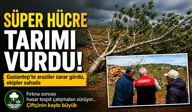 Gaziantep'te tarım arazilerini ‘Süper Hücre’ vurdu! Hasar tespit çalışmaları sürüyor...