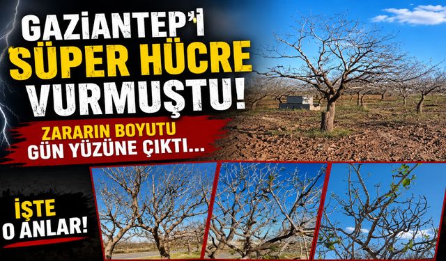 Gaziantep’i Süper Hücre vurmuştu! Zararın boyutu gün yüzüne çıktı… İşte o anlar!