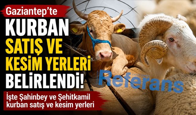 Gaziantep’te kurban satış ve kesim yerleri belirlendi! İşte Şahinbey ve Şehitkamil kurban satış ve kesim yerleri