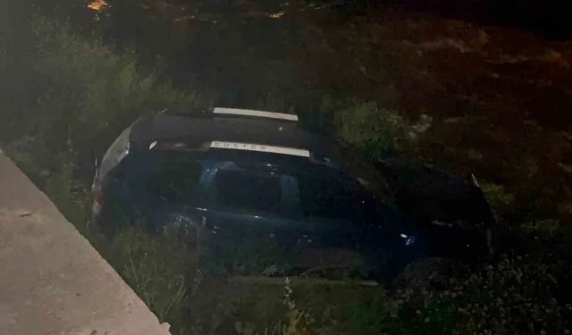Kontrolden çıkan araç dereye uçtu! Sürücü firar etti