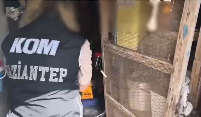 Gaziantep’te şüphelinin evinden cephanelik çıktı!