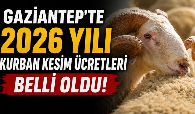 Gaziantep’te 2026 yılı kurban kesim ücretleri belli oldu! İşte kesim ücretleri ve detaylar…