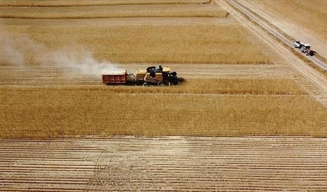 Çiftçilere destek ödemesi başladı: 165,5 Milyon lira dağıtılacak