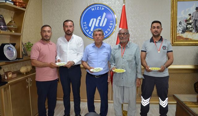 Gaziantep'te ilk boz Antep fıstığı hasat edildi: Üreticilere altın verildi